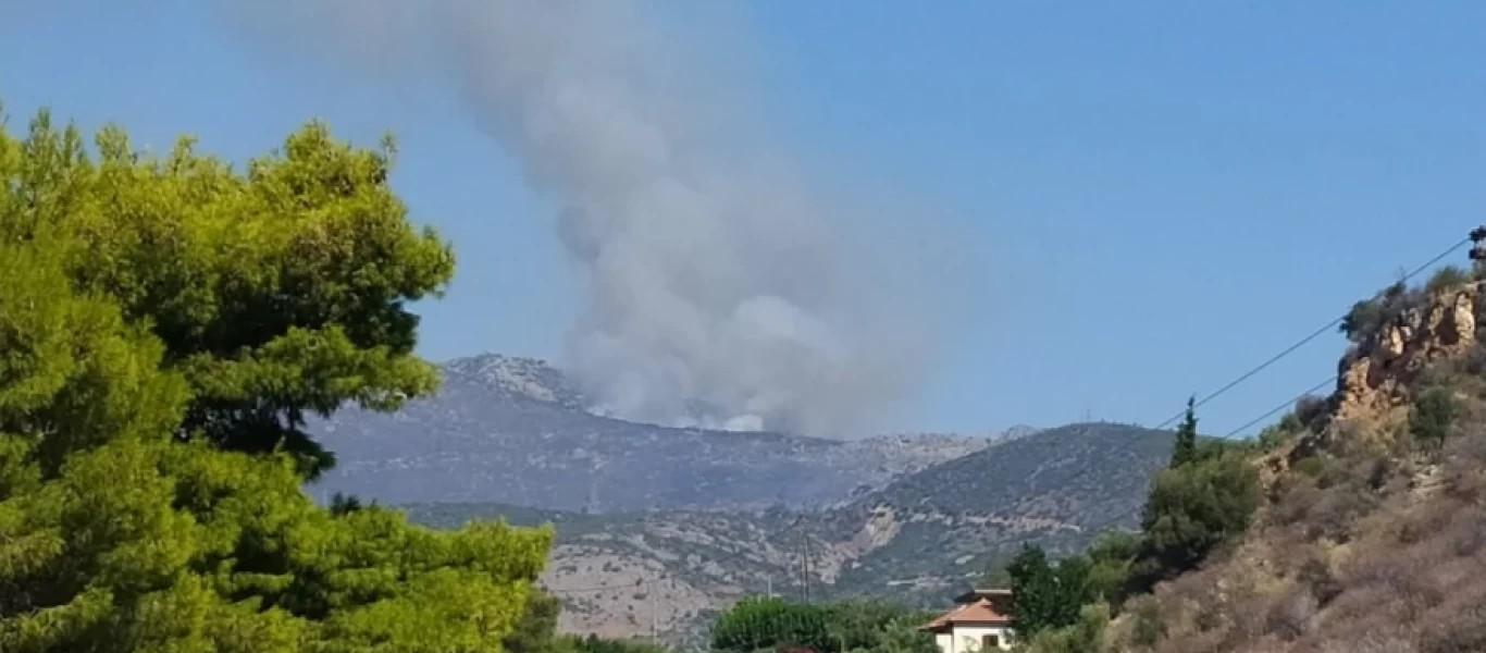 Στις φλόγες συνεχίζει η Φωκίδα: Μαίνεται το μέτωπο - Απειλούνται χωριά (βίντεο)